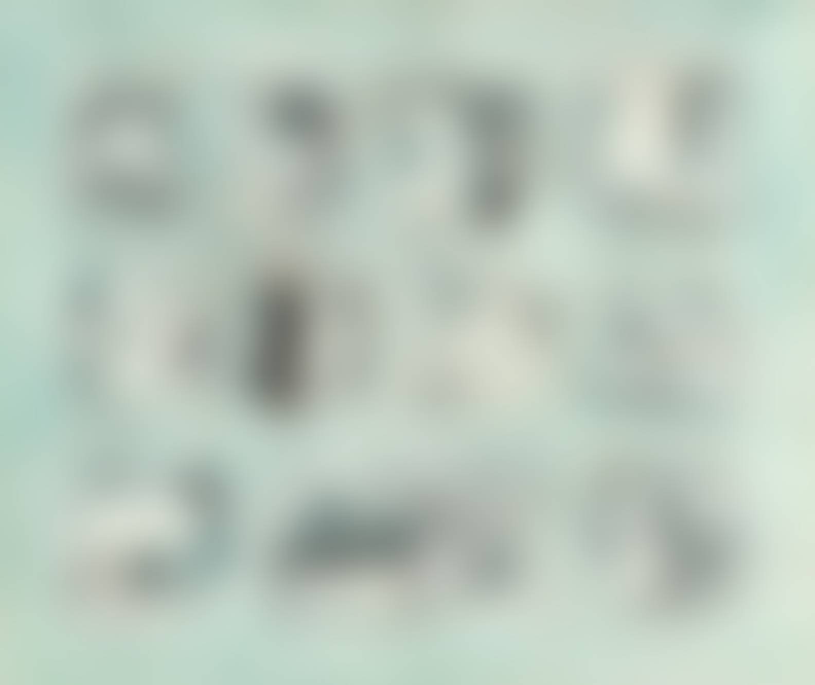 auction-image