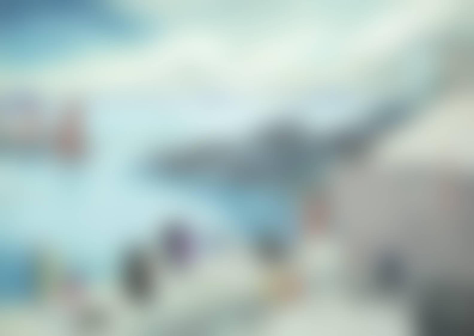 auction-image
