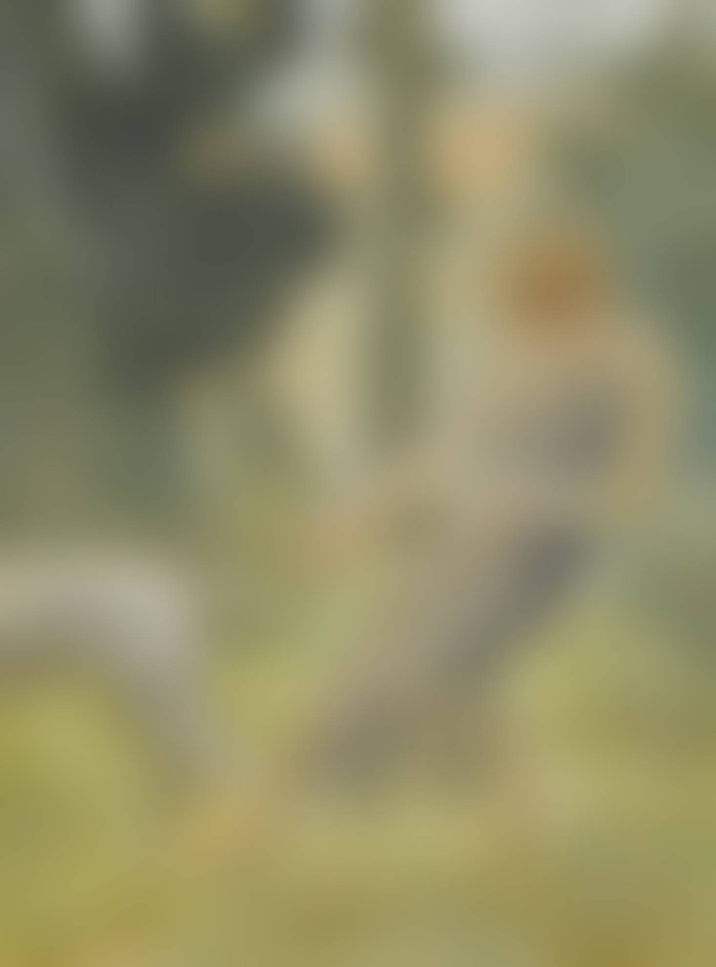 auction-image