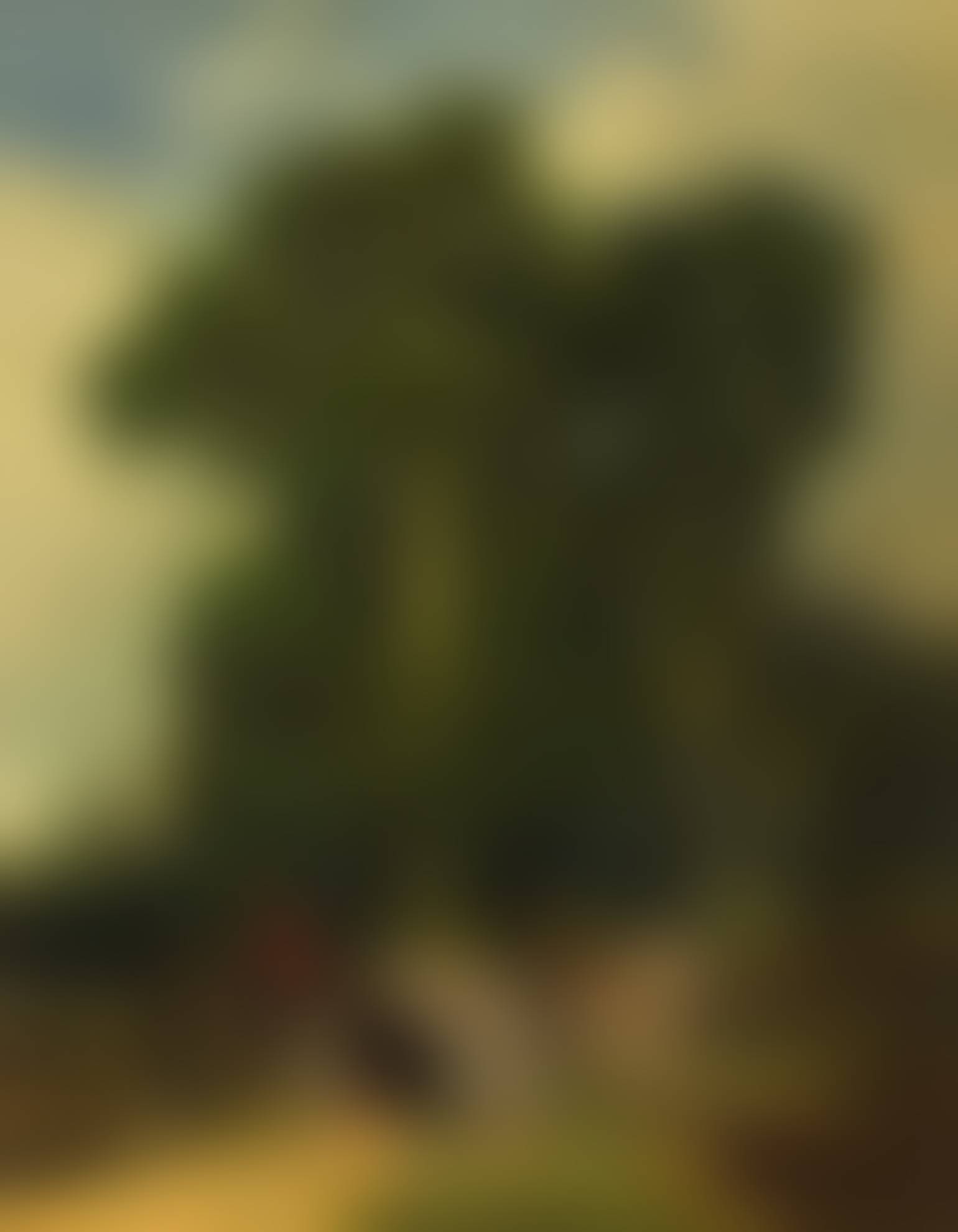 auction-image