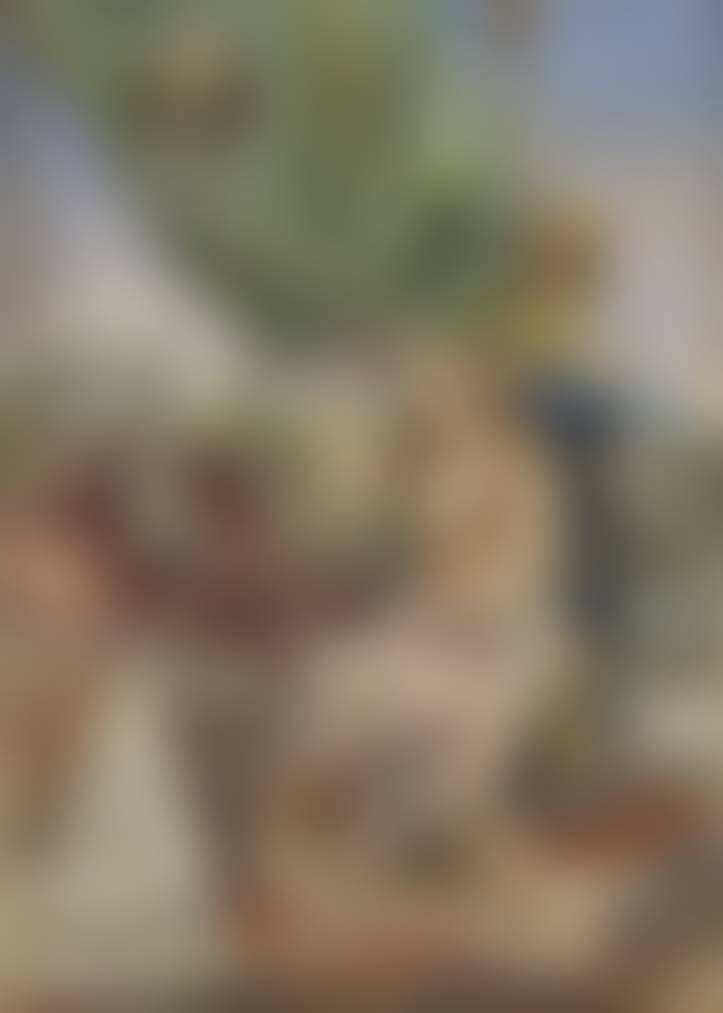 auction-image