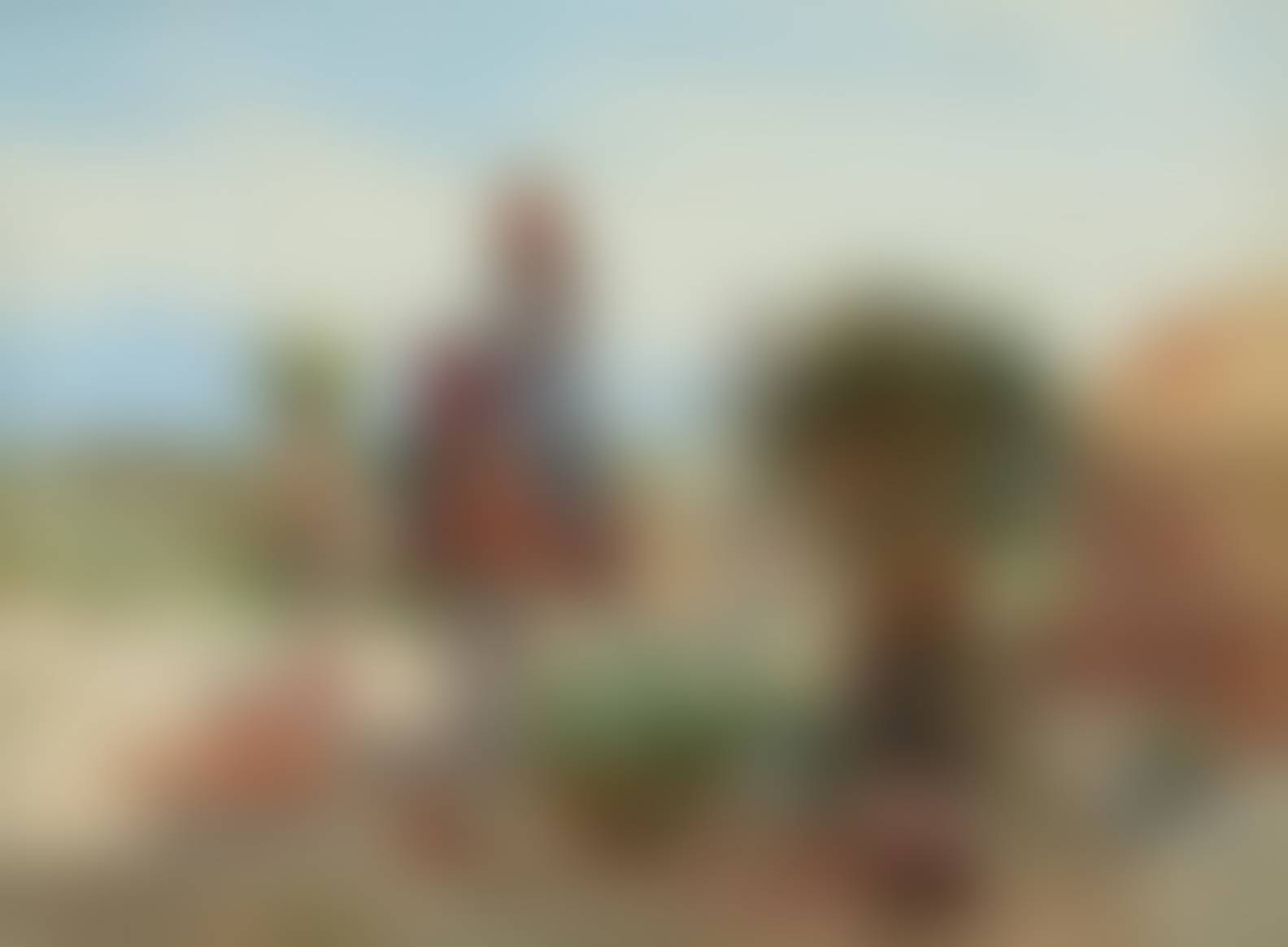 auction-image