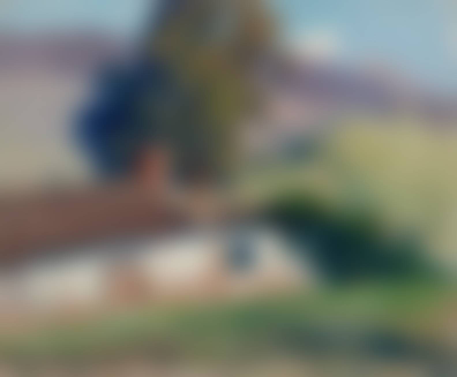 auction-image