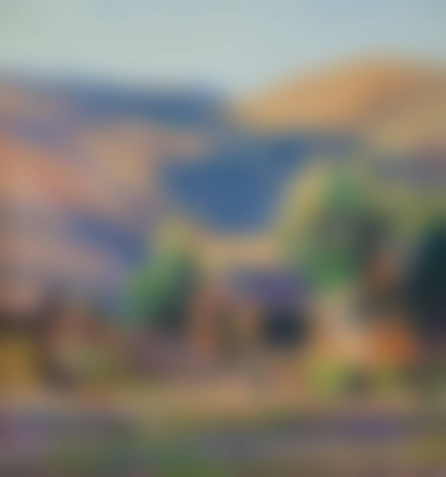 auction-image