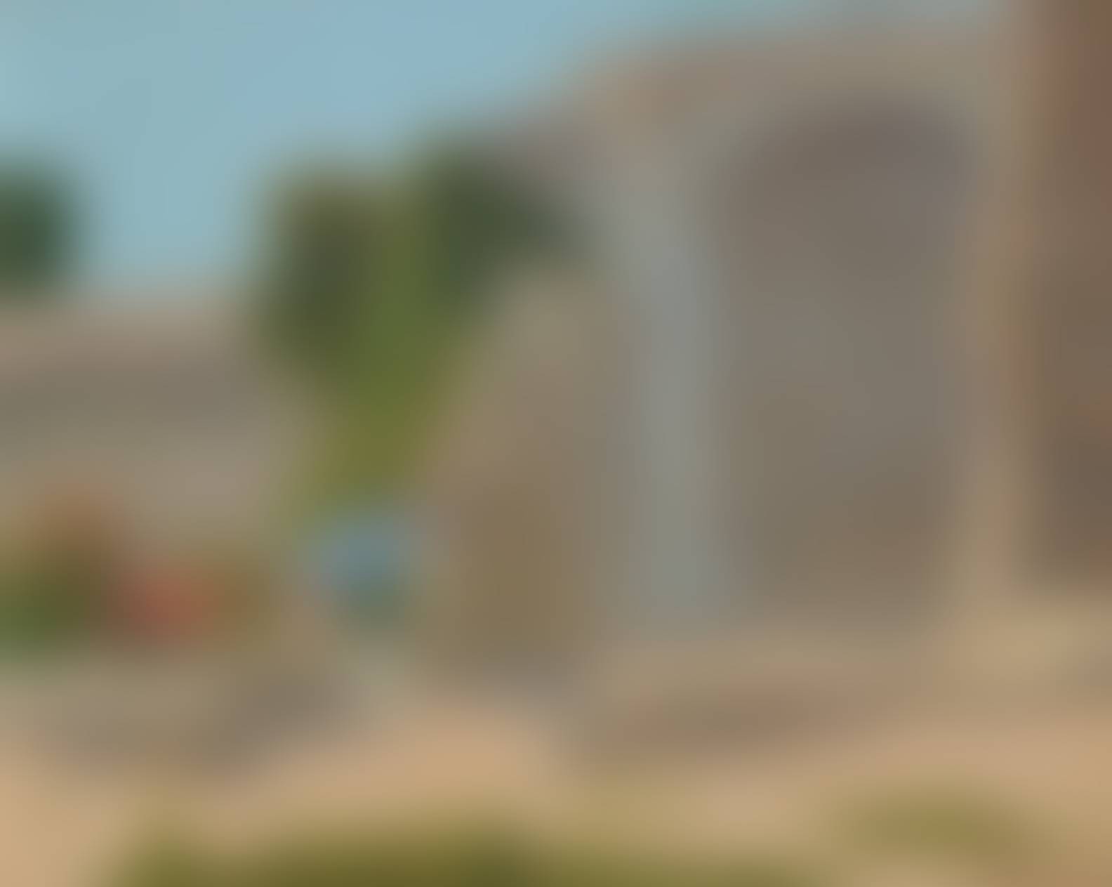 auction-image