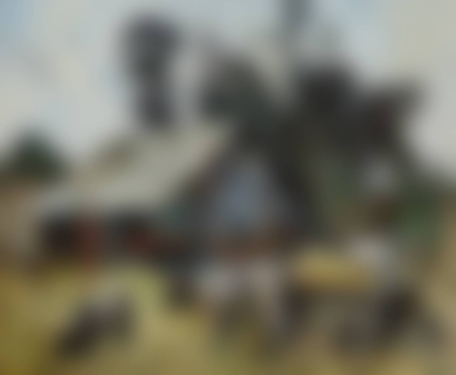 auction-image