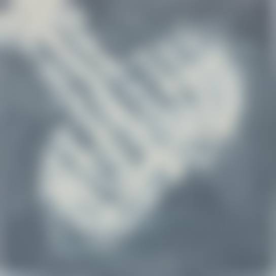 auction-image