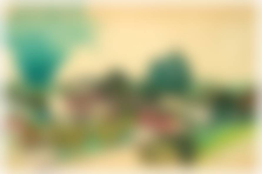 auction-image
