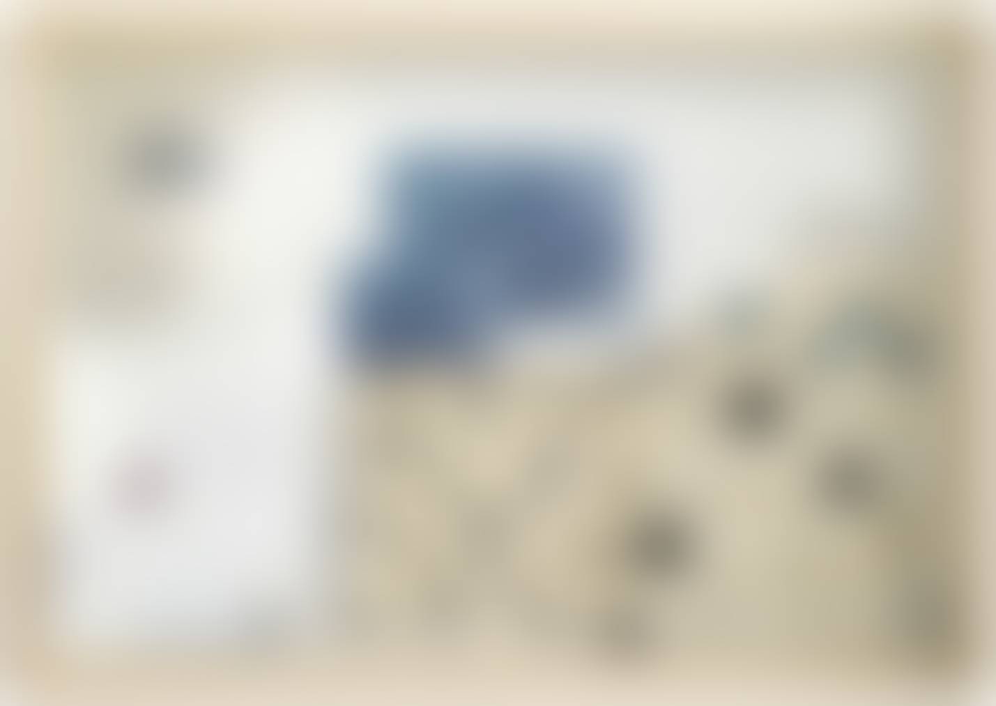 auction-image