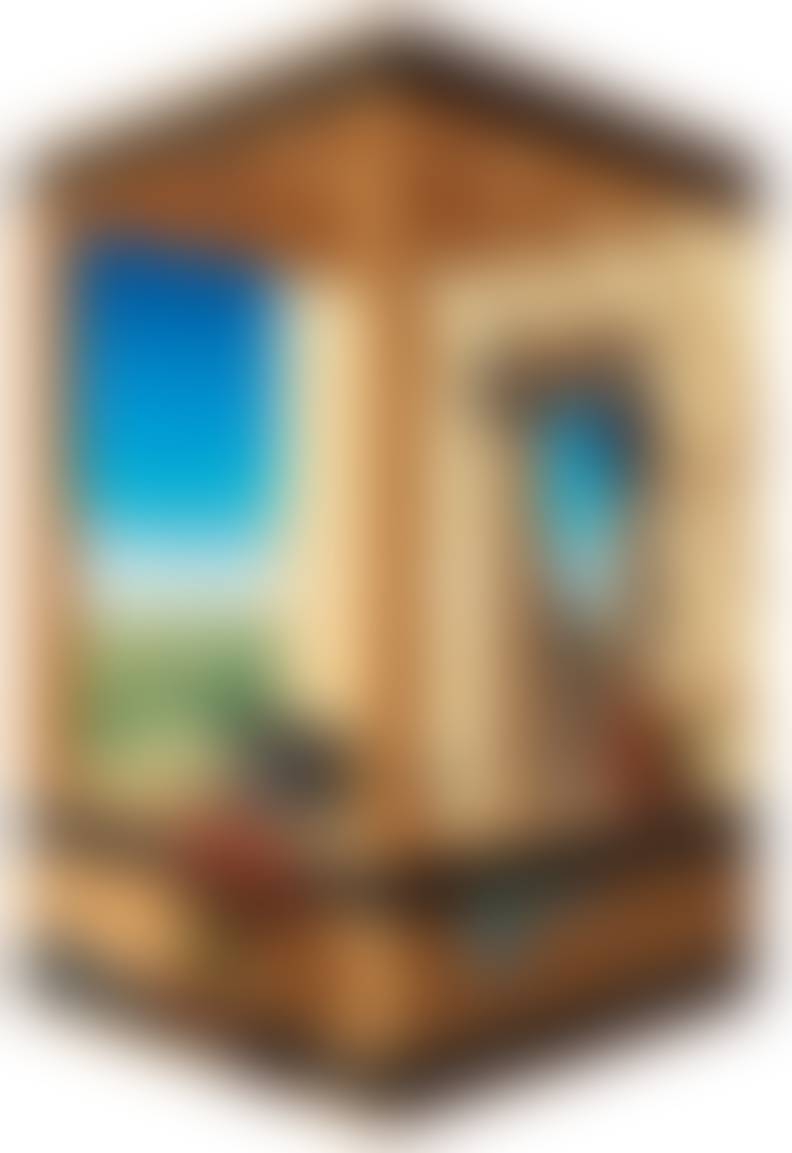 auction-image