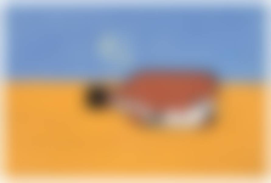 auction-image