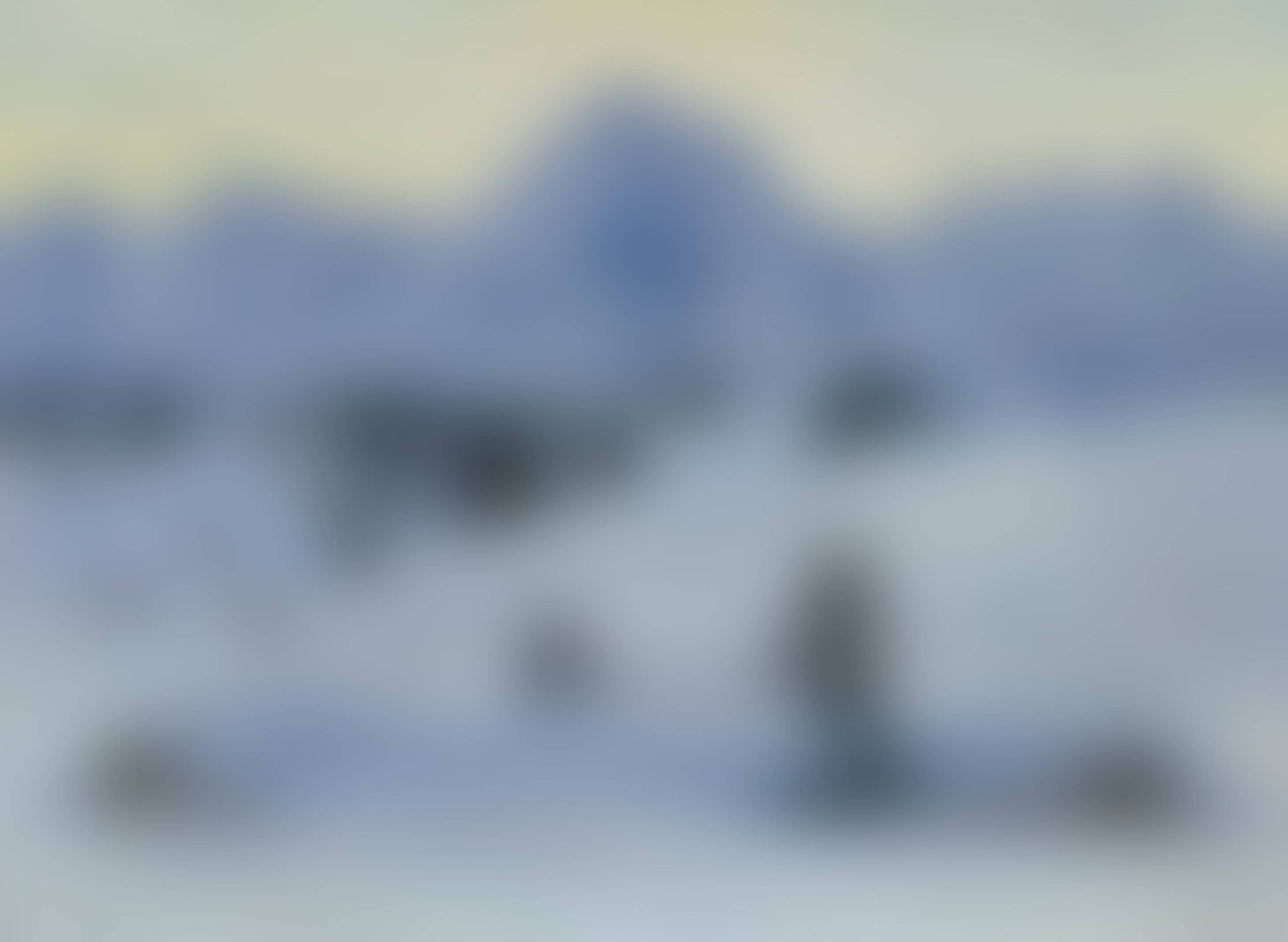 auction-image