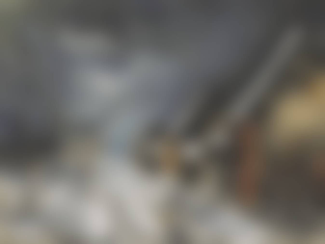 auction-image