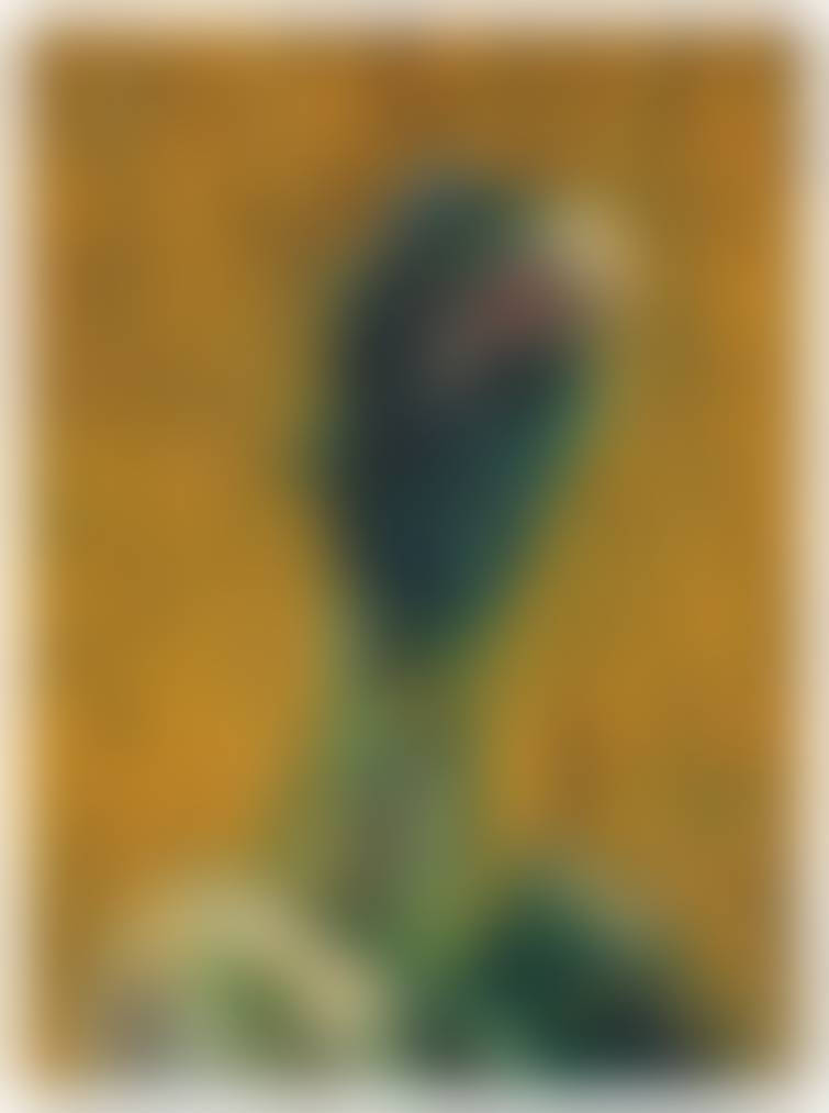 auction-image