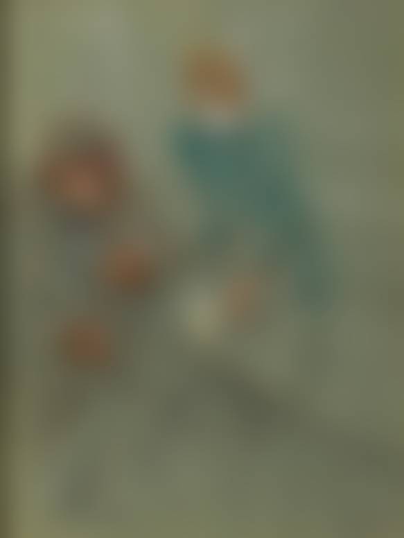 auction-image