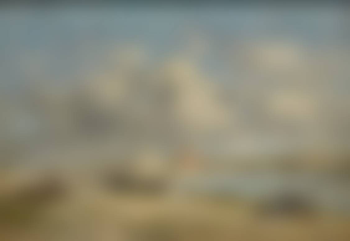 auction-image