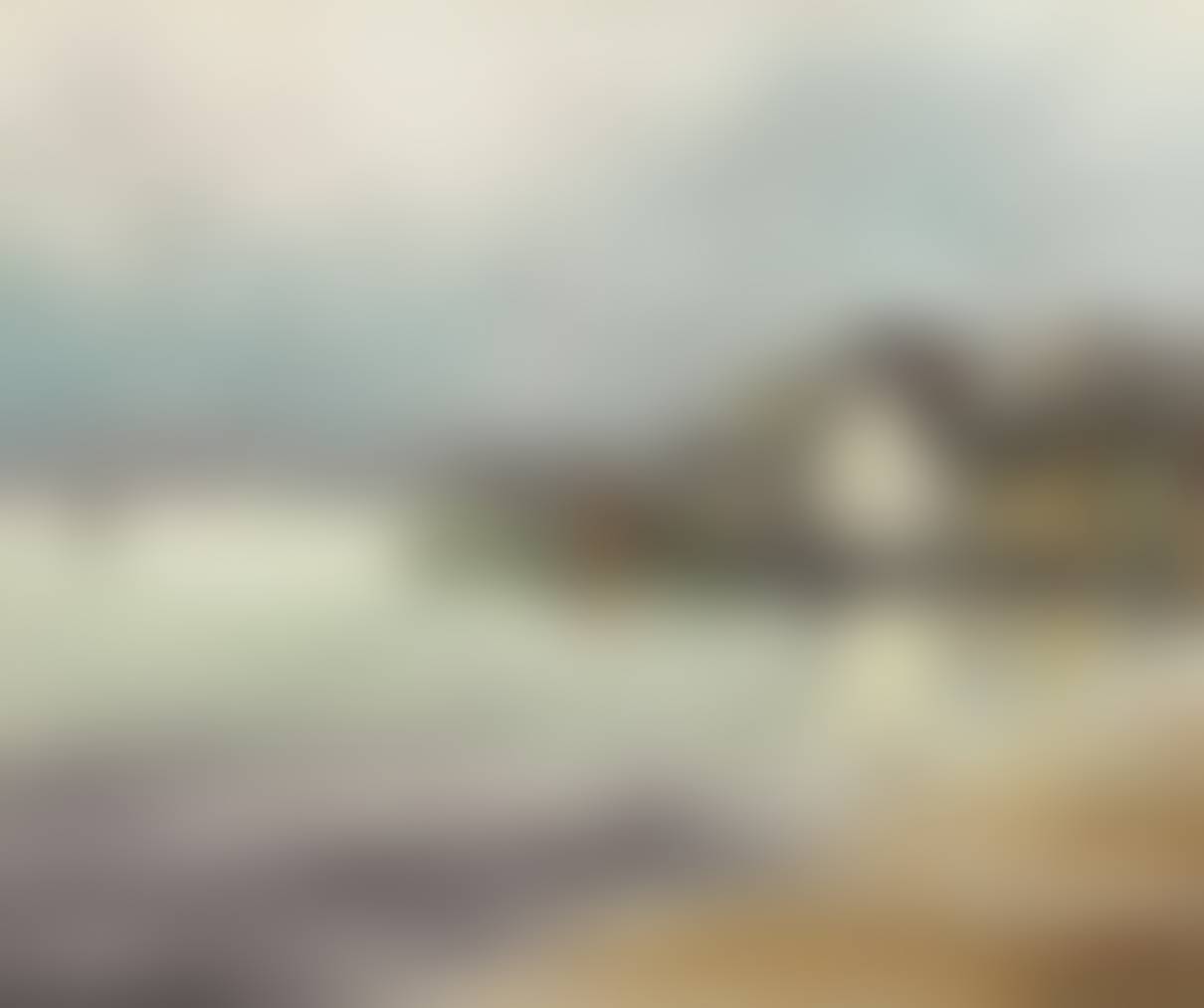auction-image