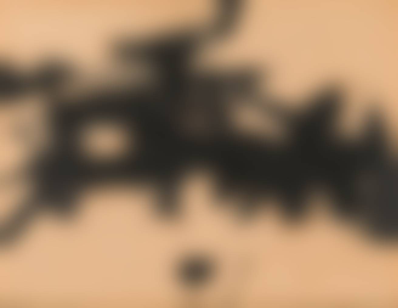auction-image