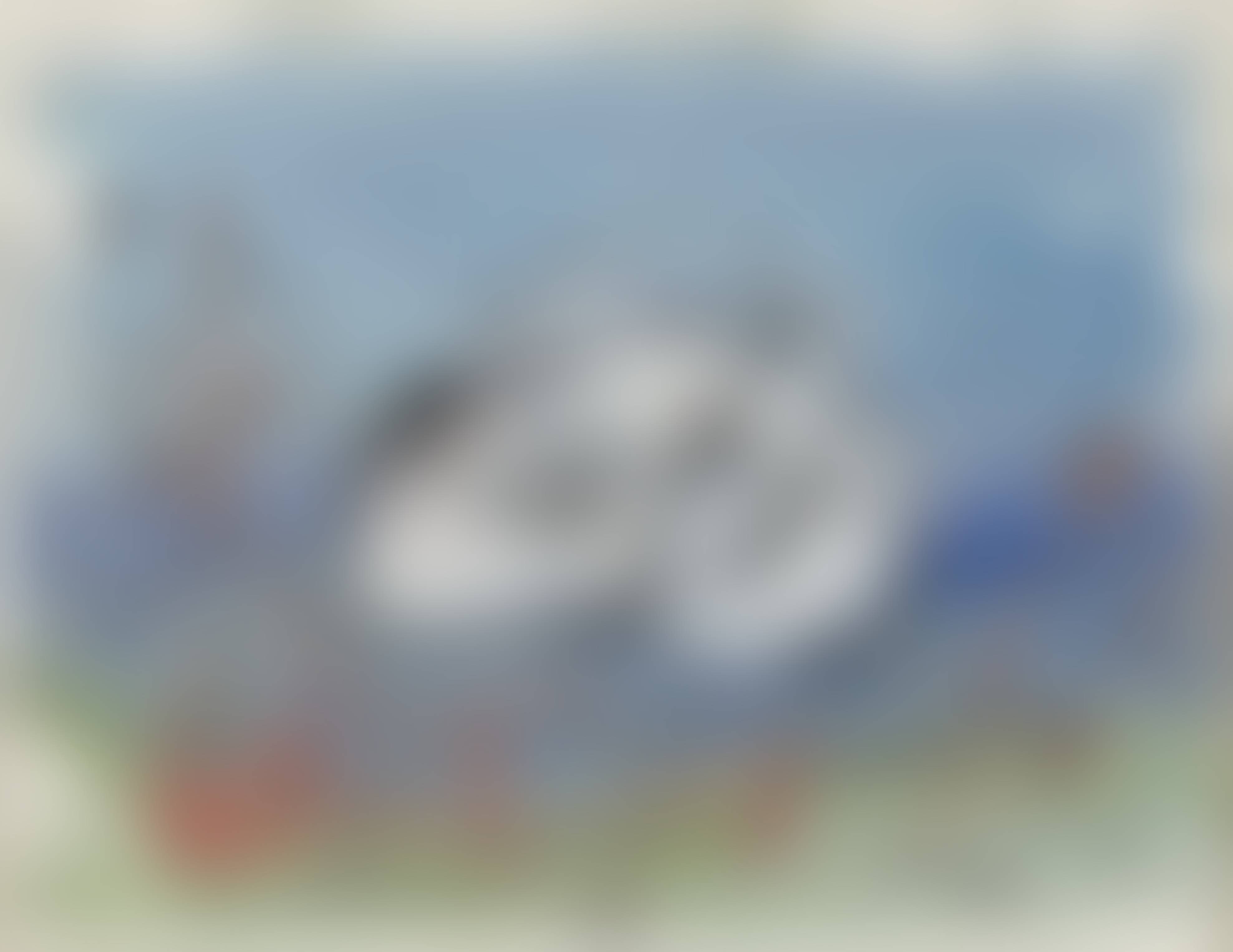 auction-image