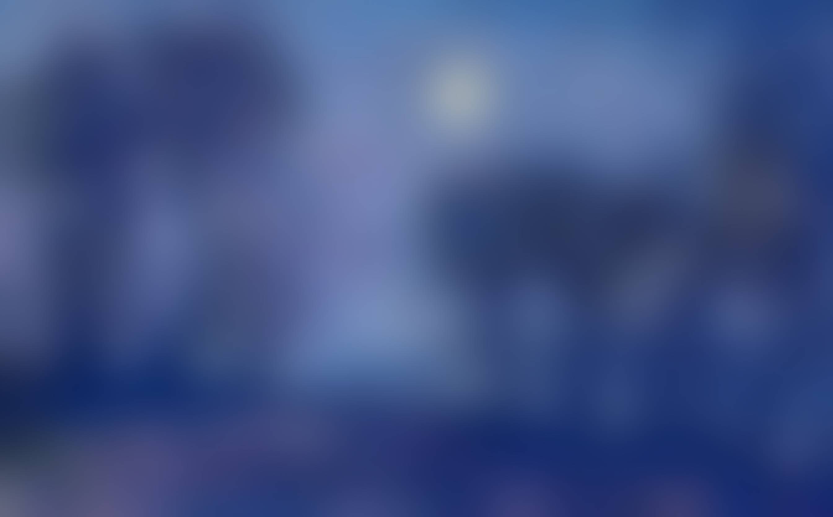 auction-image