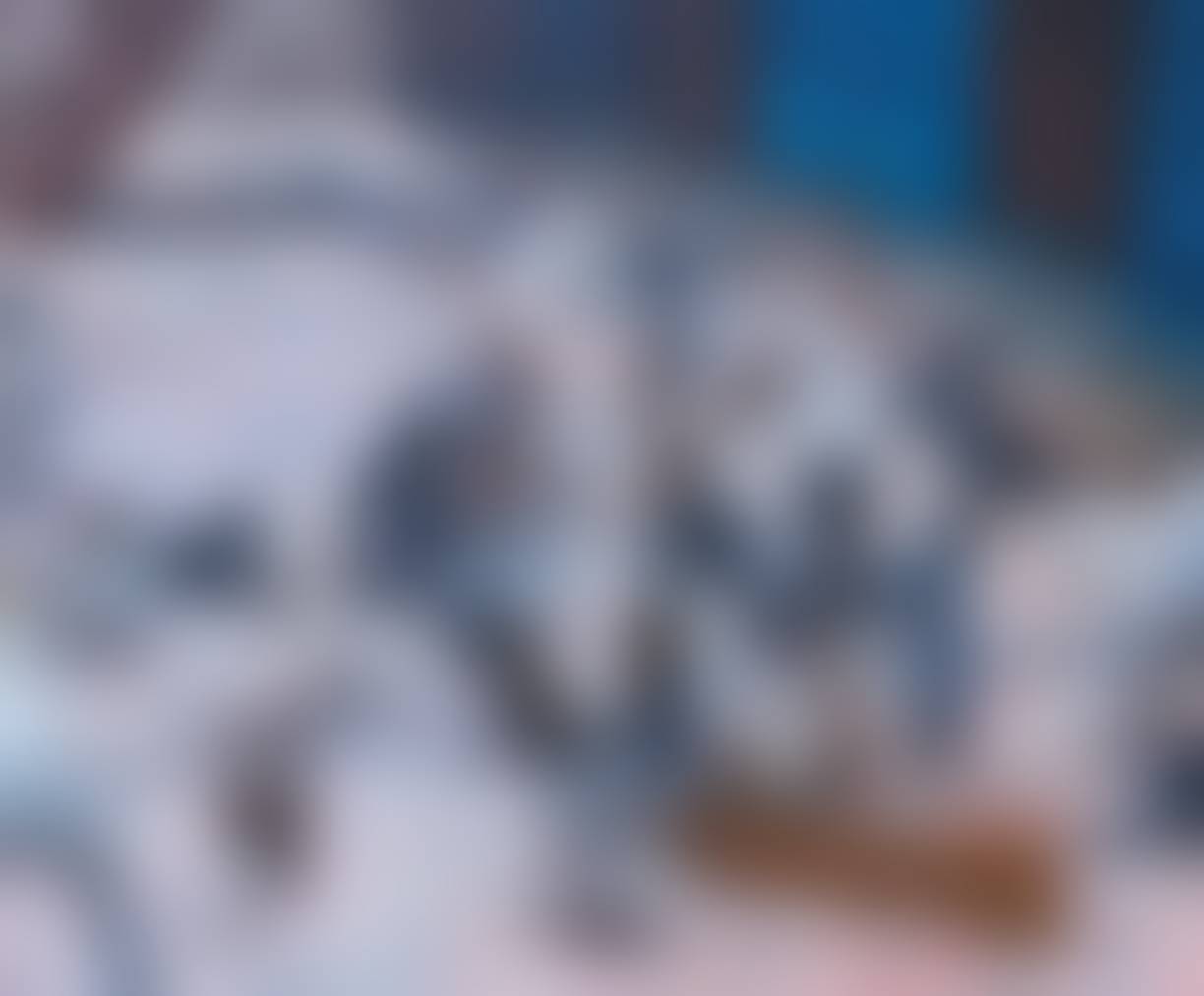 auction-image