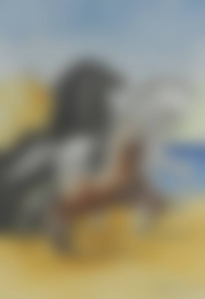 auction-image