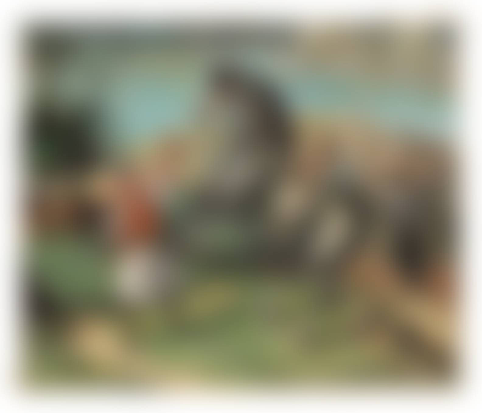 auction-image
