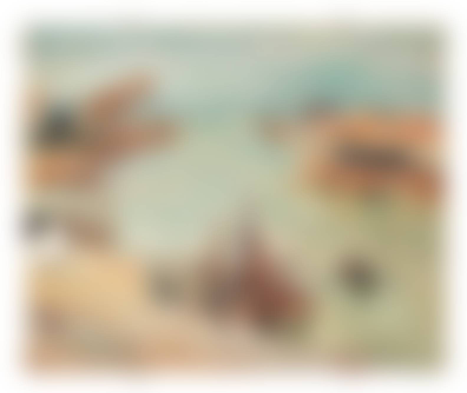 auction-image