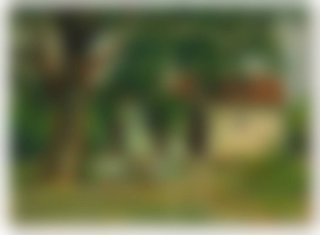 auction-image