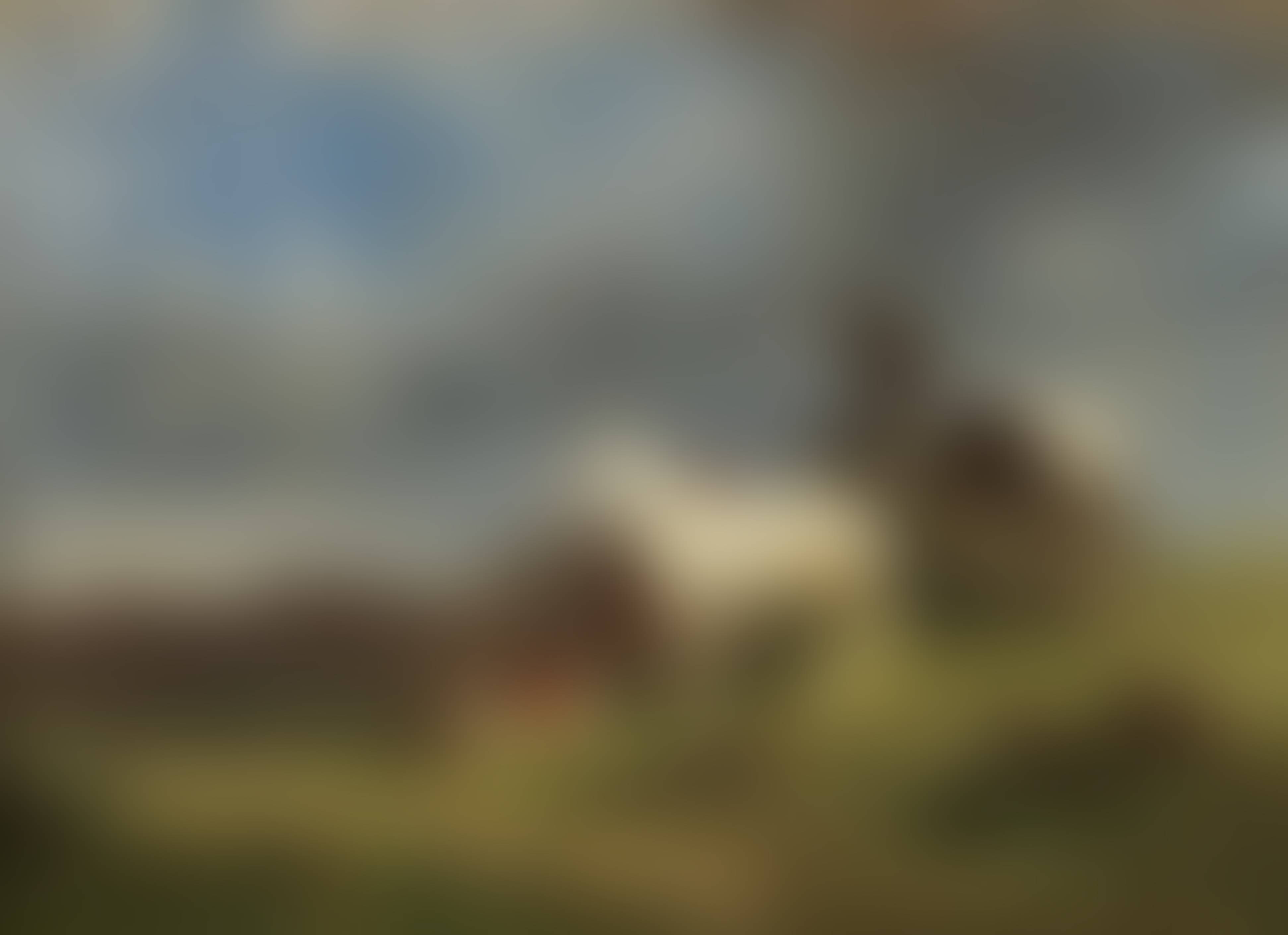 auction-image