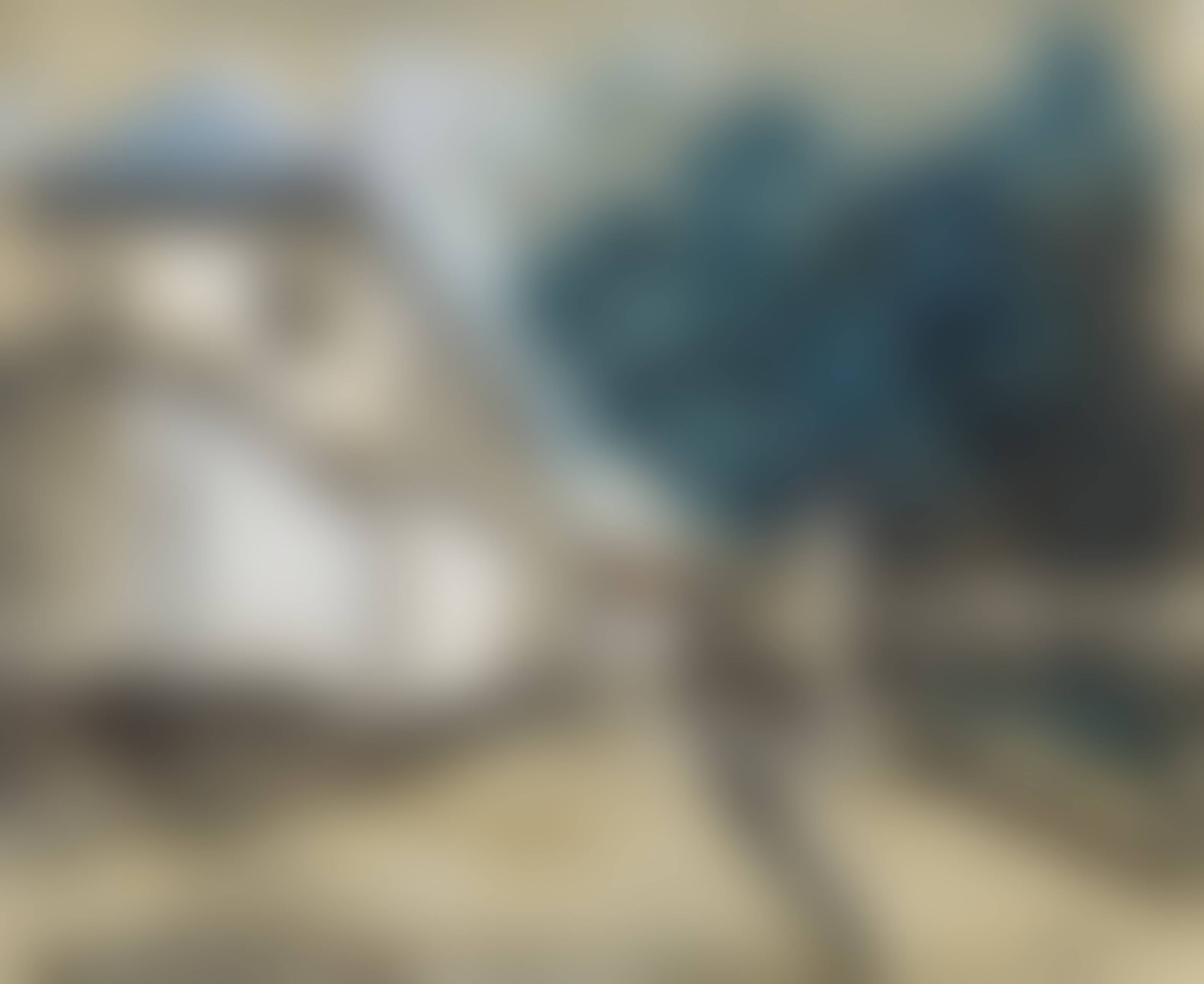 auction-image