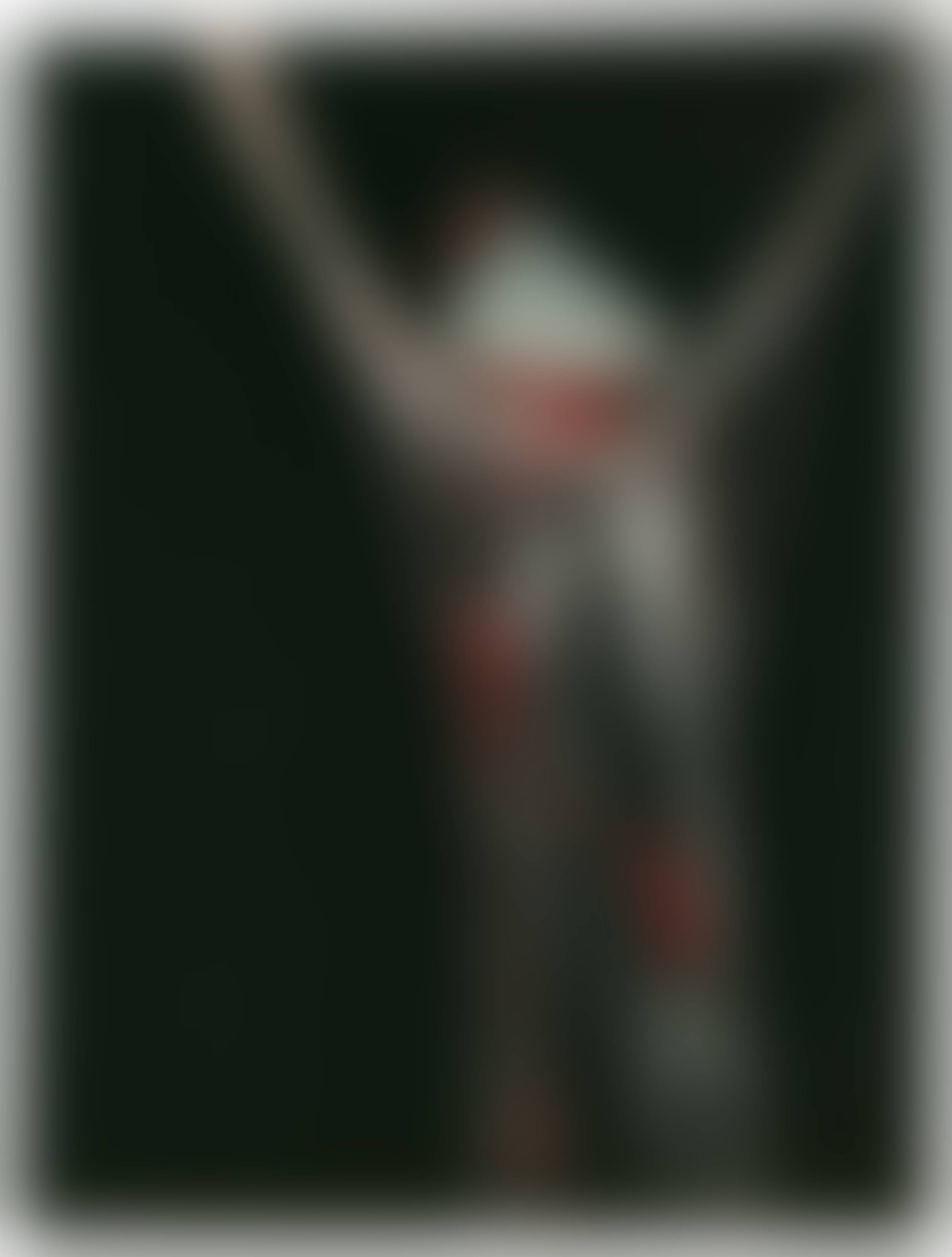 auction-image