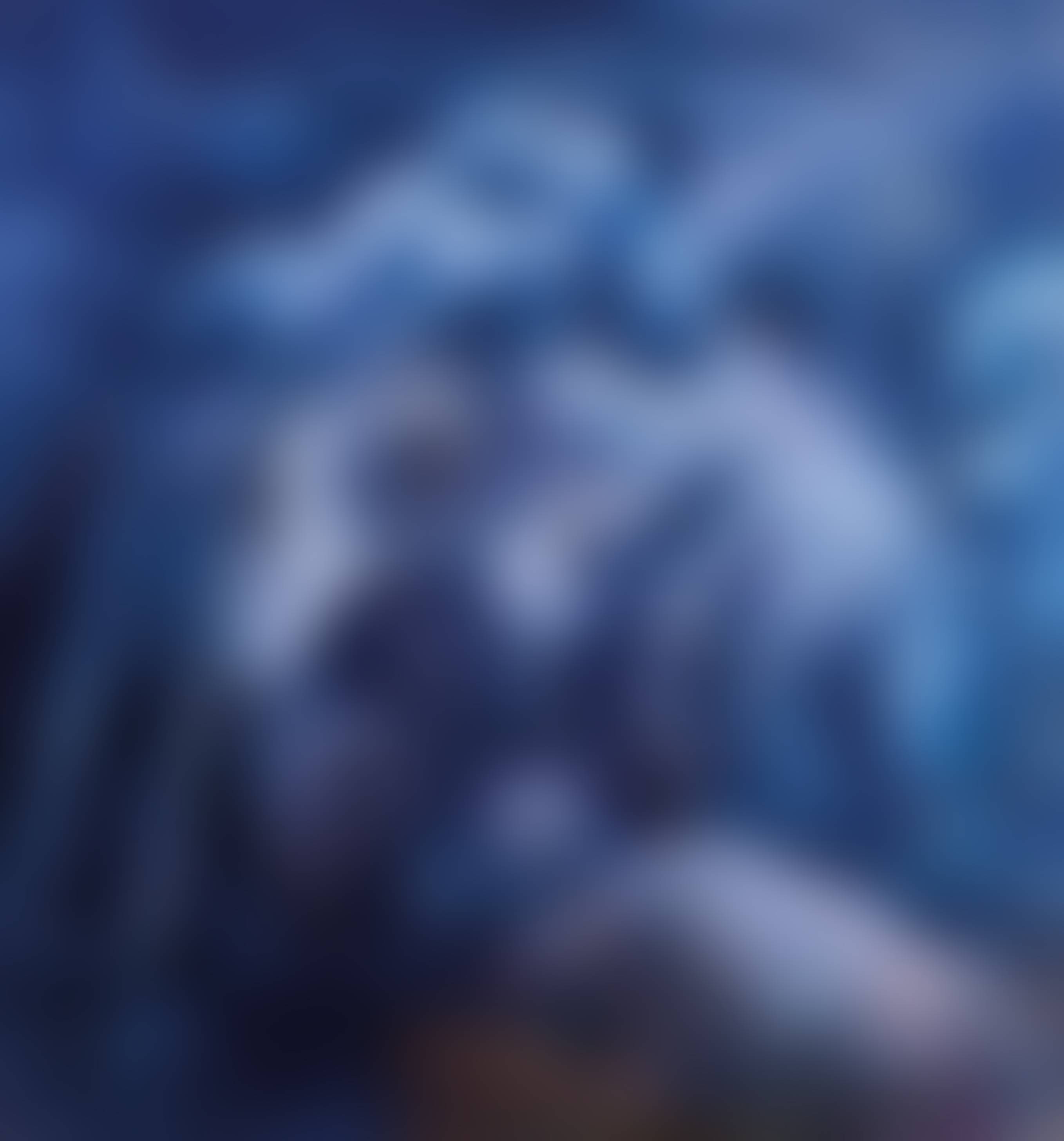 auction-image