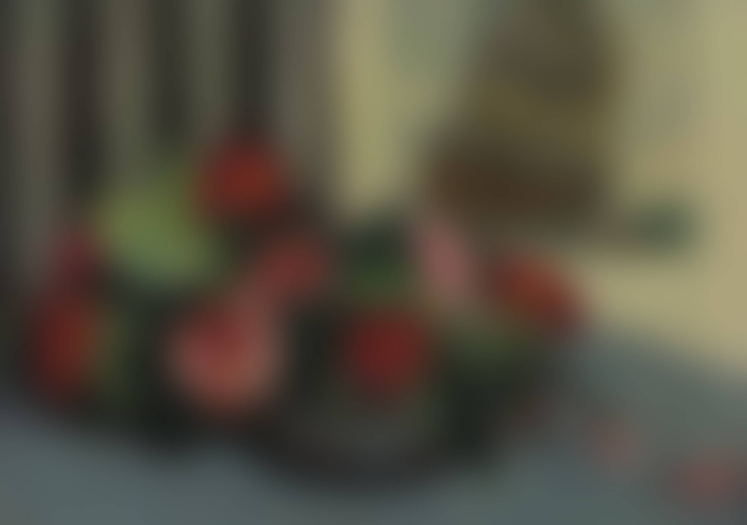 auction-image