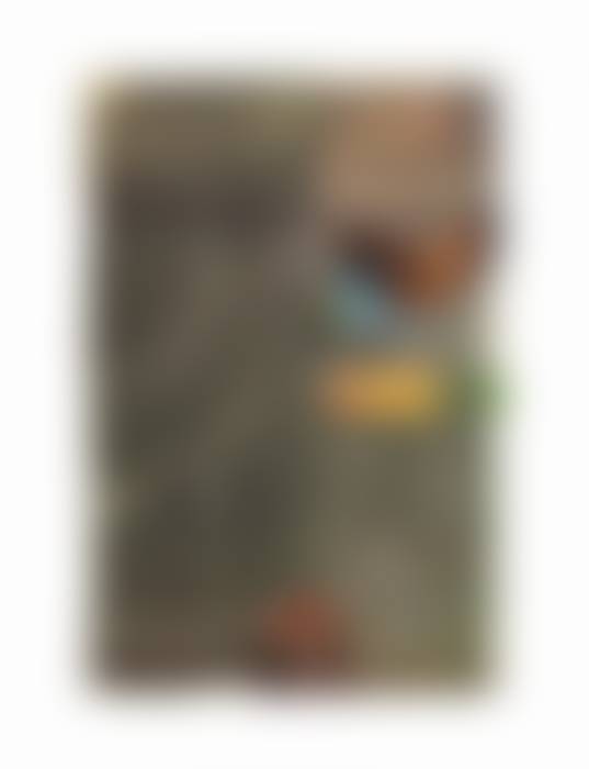 auction-image