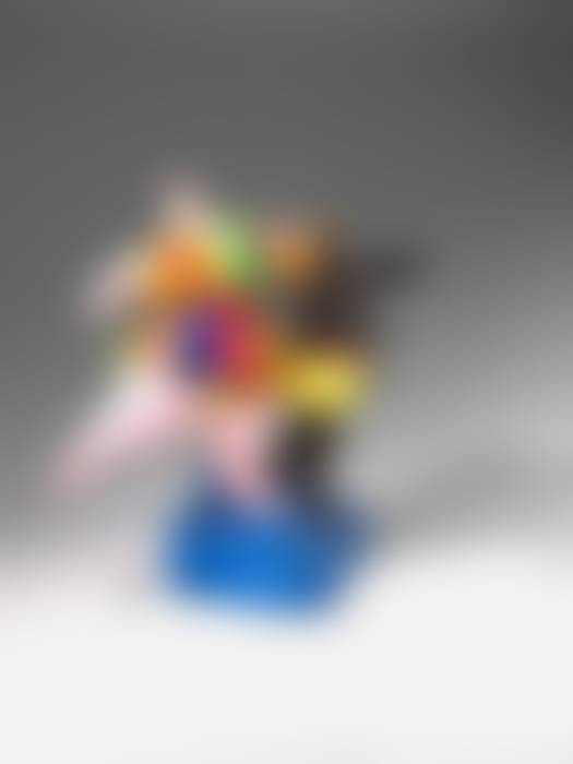 auction-image