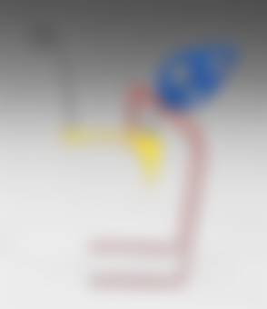 auction-image