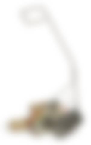 auction-image