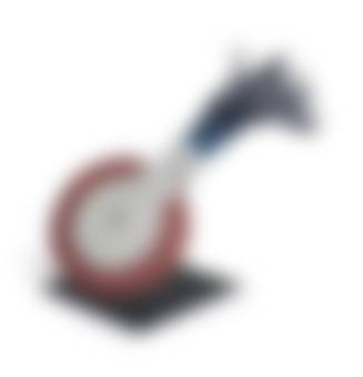 auction-image