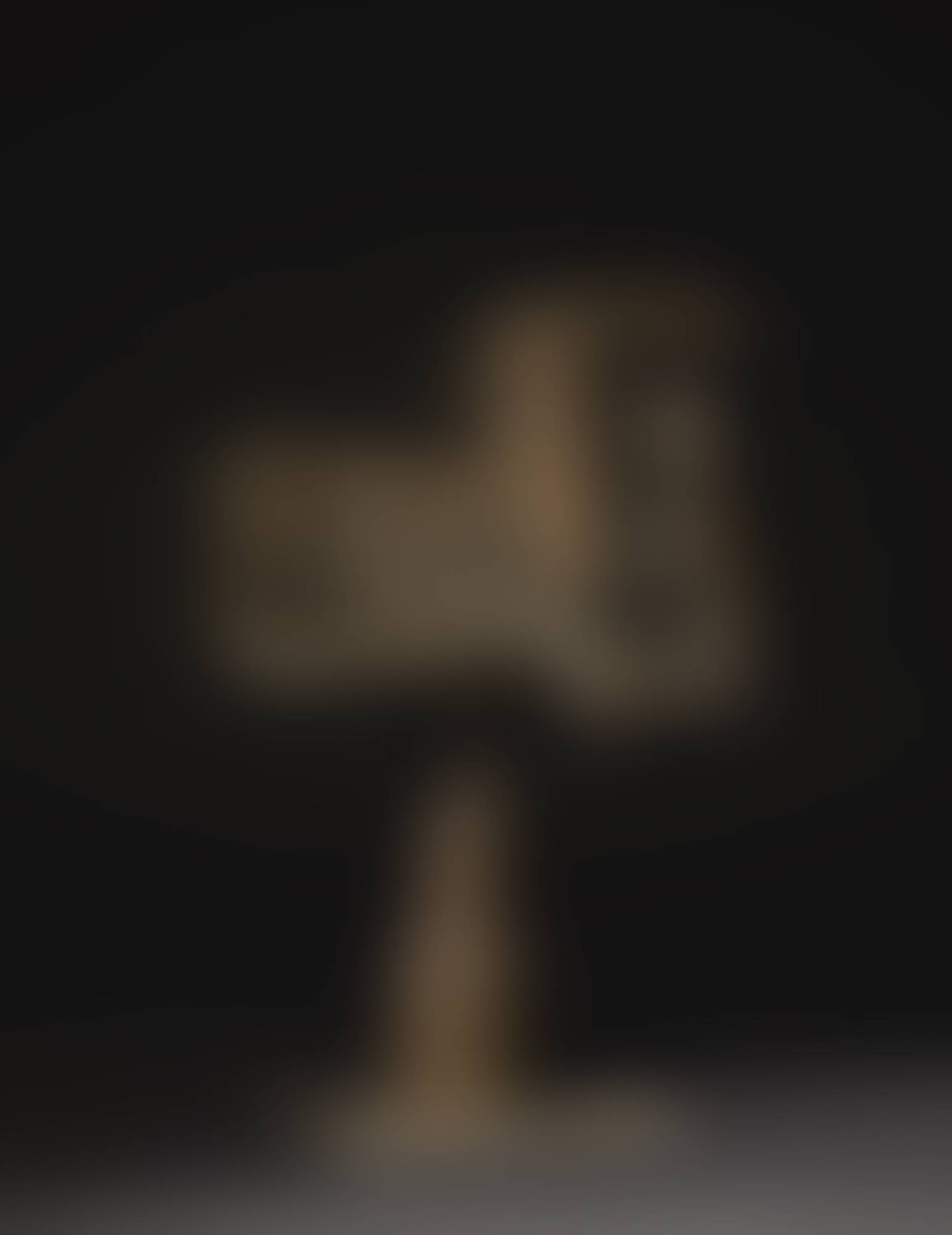 auction-image
