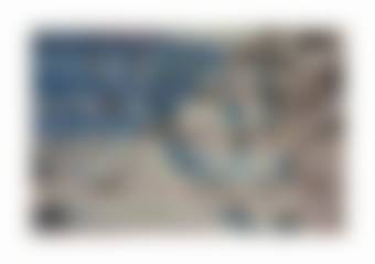 auction-image