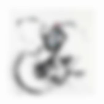 auction-image