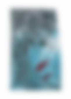 auction-image