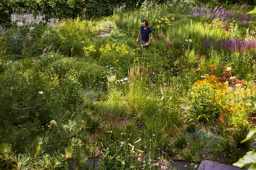 Arne Quinze's garden. Photography by Dave Bruel
