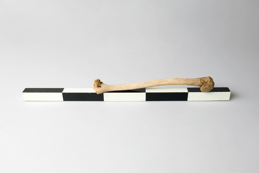 Adam Broomberg & Oliver Chanarin - 1 Article | Widewalls
