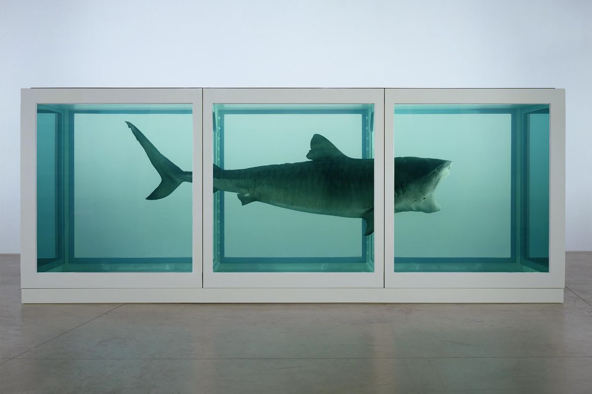 https://d16kd6gzalkogb.cloudfront.net/magazine_images/Damien-Hirst-The-Physical-Impossibility-of-Death-in-the-Mind-of-Someone-Living-via-art21-com.jpg