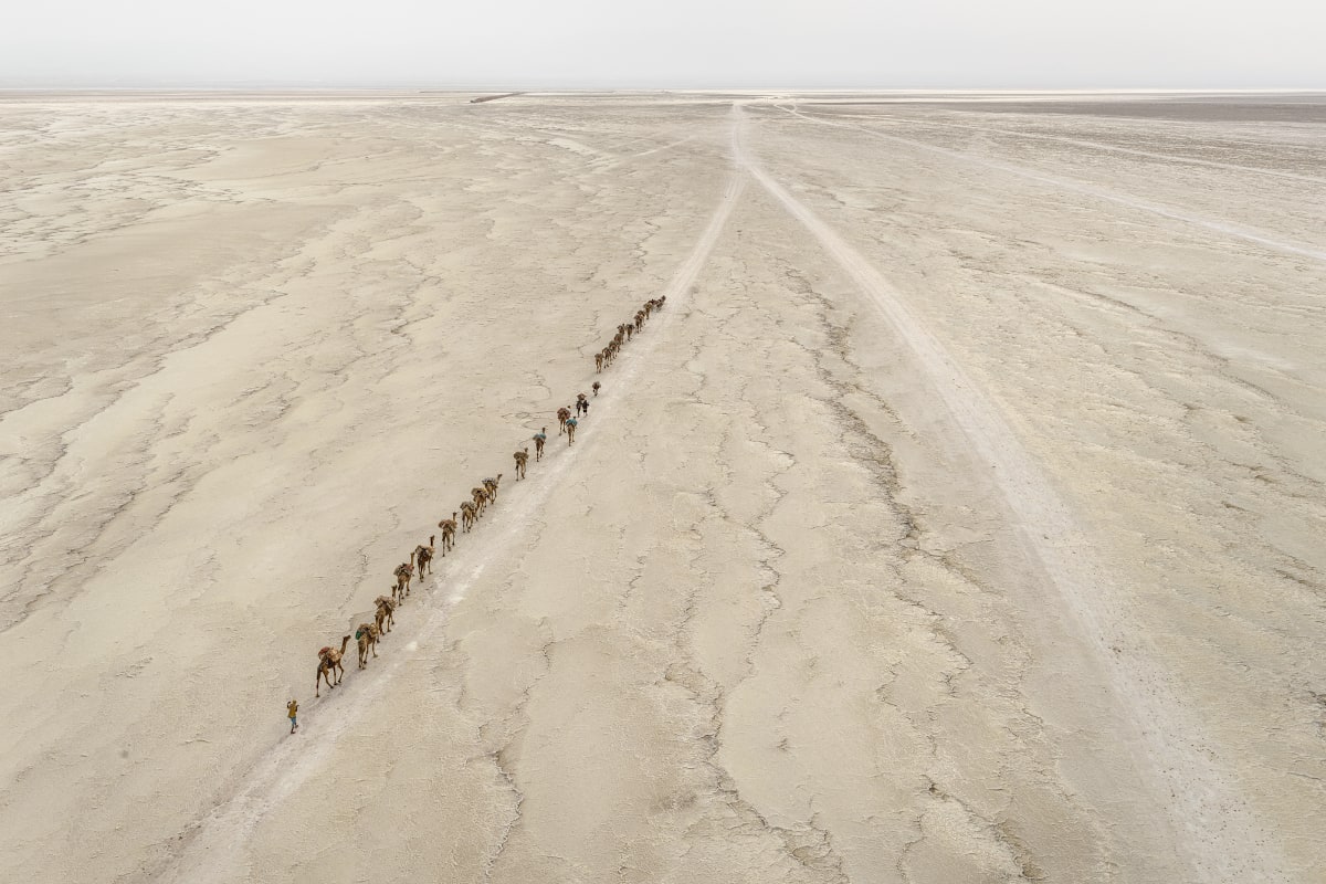 Book Review: 'African Studies,' by Edward Burtynsky - The New York