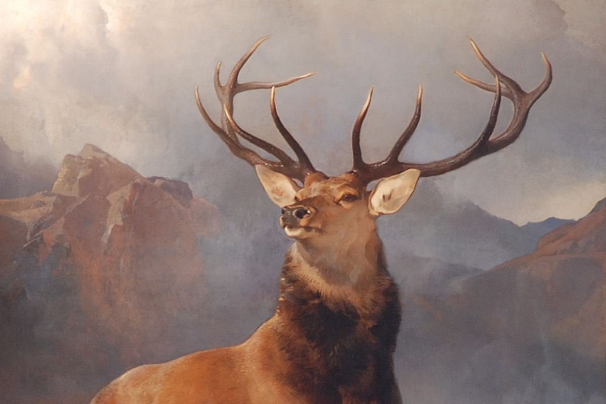 Famous Animal Paintings You Need To Know Widewalls