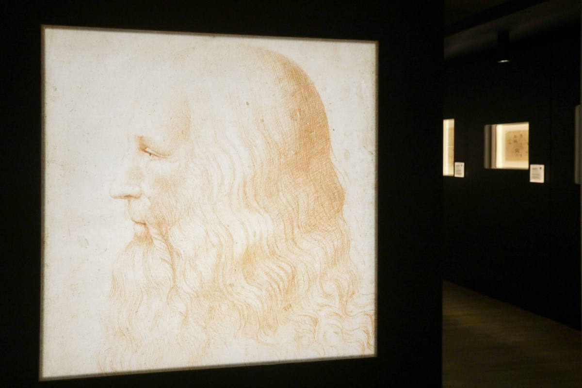 Installation view of Leonardo da Vinci In the Mind of an Italian Genius 2