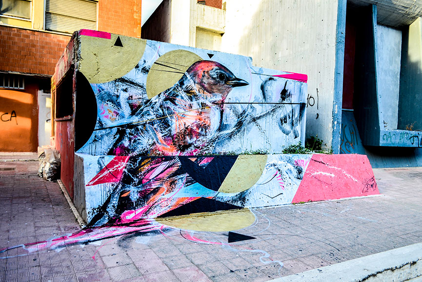 L7m Brought His Birds of Brazil to Italy for the First Time | Widewalls